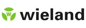 WEILAND ELECTRIC INC