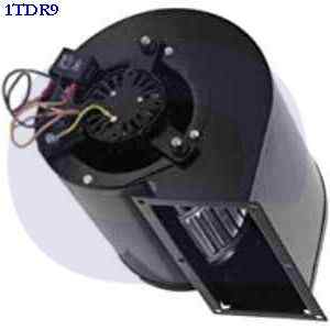 1tdr9 DALTON