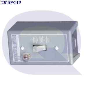 2510fg1p SCHNEIDER ELECTRIC SQUARE D