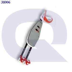 31006 GENERIC