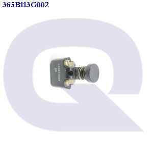 365b113g002 GENERAL ELECTRIC