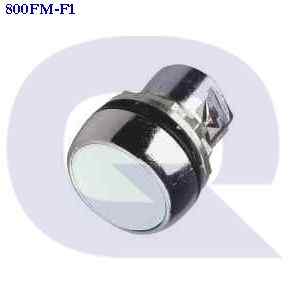 800fm-f1 ALLEN BRADLEY