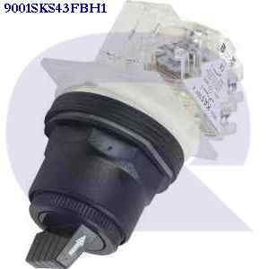 9001sks43fbh1 SCHNEIDER ELECTRIC SQUARE D
