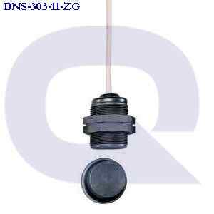 bns-303-11-zg SCHMERSAL