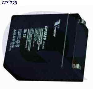 cp1229 GENERIC