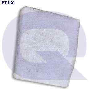 fp160 EBM-PAPST