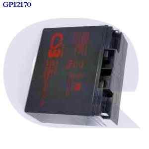 gp12170 GENERIC