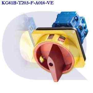 kg41b-t203/f-a014-ve KRAUS & NAIMER