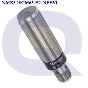 nmb5-18gm65-e2-nfev1.jpg
