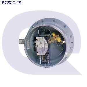 pgw-2-p1 DWYER INSTRUMENTS INC