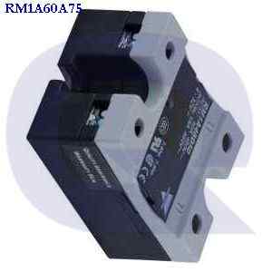 rm1a60a75 CARLO-GAVAZZI